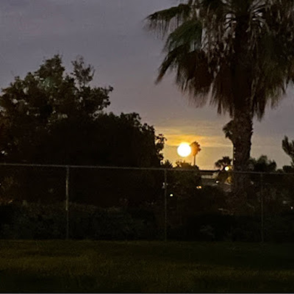 Meet your Posher, April